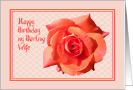 Birthday Wishes Wife Flowers in Peach Frame card