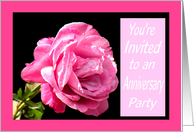 Anniversary Party (50th) for Aunt and Uncle, Large Pink Rose card