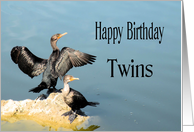 Birthday for Twins, Two Cormorants card