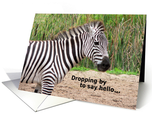 Note Card with Zebra card (657404)