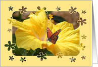 Romance Beautiful Butterfly card