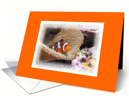 Birthday with Clown Fish and Ocean Reefs. Life Partner card (693094)