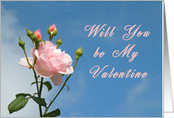 Be My Valentine? Pink Rose card