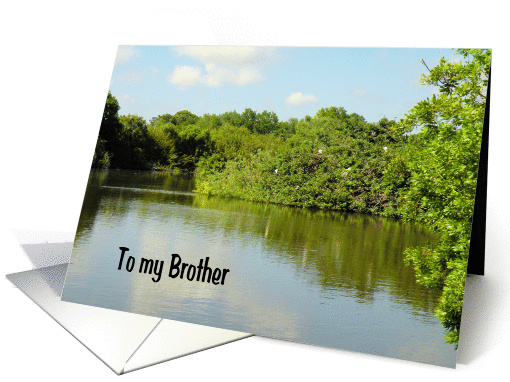 St. Patrick's Day, Card for Brother card (751168)
