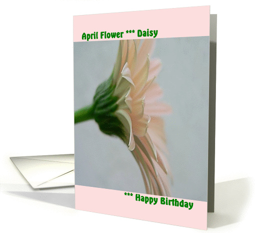 April Birthday with Monthly Flower, Lt Pink Gerber Daisy card (786895)