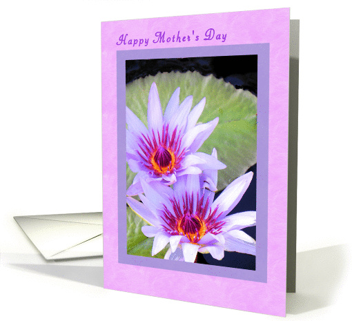 Mother's Day Card for Mom, Lavender with twin Water Lilies. card