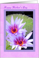 Mother’s Day Card for Mom, Lavender with twin Water Lilies. card