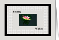 Birthday Wishes with Pink Water Lily. card