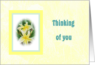 Sympathy with Yellow Flowers, Loss of Husband card