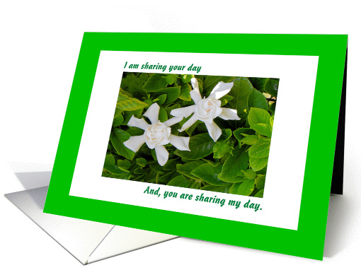 Shared Birthday two White Gardenias card (833541)