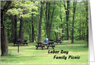 Family Picnic in the Woods Invitation for Labor Day card
