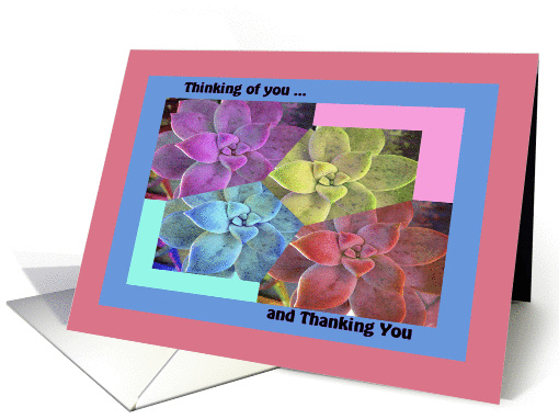 Thank you for Hospitality with Colorful Aloe card (853675)