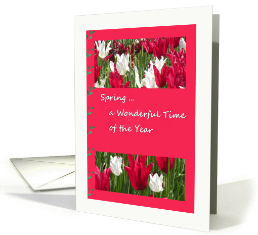 Spring Anniversary Card with Red & White Tulips card (858581)