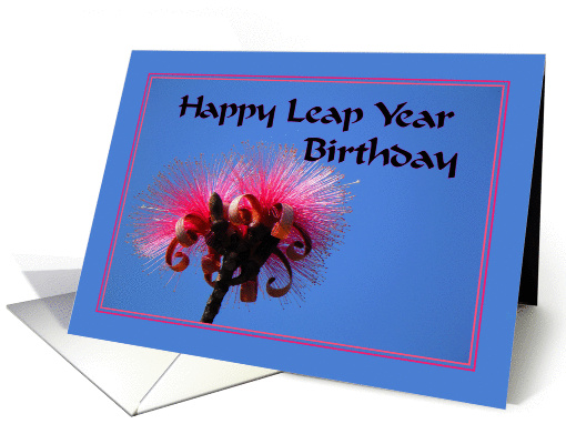 Birthday for Leap Year Hot Pink Flowers card (900220)