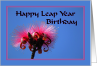 Birthday for Leap Year Hot Pink Flowers card