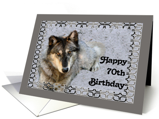 Birthday American Indian Wolf Card for 70th card (902170)