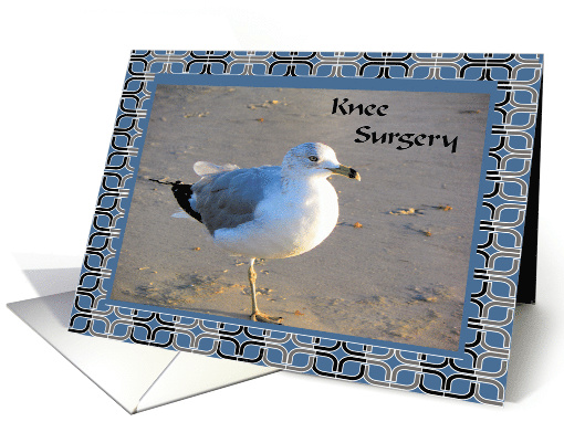 Knee Surgery Seagull on the Beach card (903853)