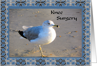 Knee Surgery Seagull on the Beach card