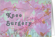 Knee Surgery,...