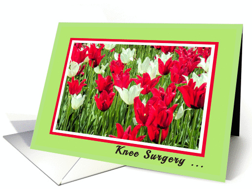 Knee Surgery, Red and White Tulips card (909826)