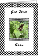 Get Well Soon from Group, Butterfly card