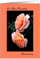 November Anniversary with Peach Lillies. card