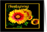 Thanksgiving, Colorful Gold and Red Flowers card