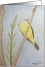 Western Kingbird - Painting card