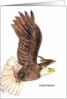 Bald Eagle in Flight card