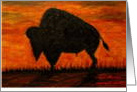 Bison-Buffalo Oil Painting card