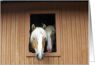 Horses in Barn card
