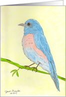 Bluebird - Painting card