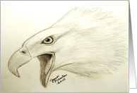 Bald Eagle card