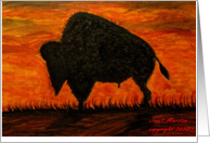 Bison-Buffalo Oil Painting card