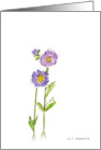 Purple Flowers card