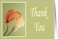 Thank You Card Cala lillies card
