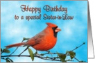 Happy Birthday Sister-in-Law Cardinal Bird card