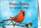 Happy Birthday Niece Cardinal Bird card