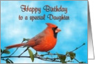 Happy Birthday Daughter Cardinal Bird card
