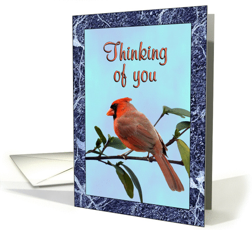 Cardinal Thinking of You card (1259772)