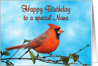 Happy Birthday Nana...