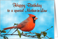 Happy Birthday Mother-in-Law Cardinal Bird card