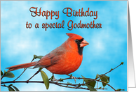 Happy Birthday Godmother Cardinal Bird card