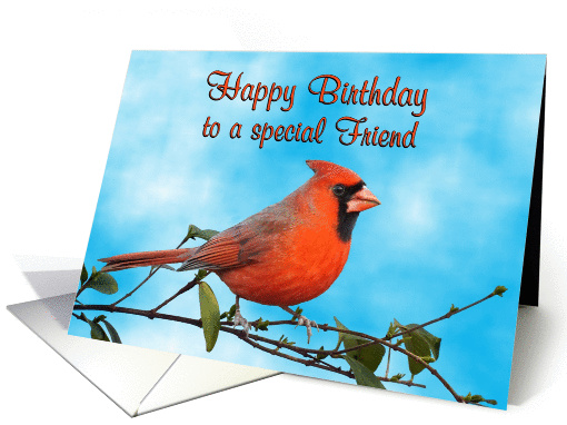 Happy Birthday Friend Cardinal Bird card (1262022)