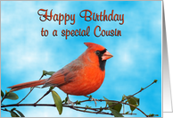 Happy Birthday Cousin Cardinal Bird card