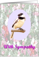 With Sympathy card