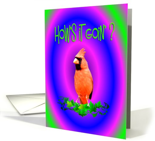 How's it Goin'? card (399351)