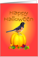 Happy Halloween Bird...