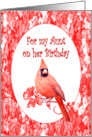 Aunt Birthday, Cardinal card