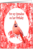 Grandma Birthday, Cardinal card
